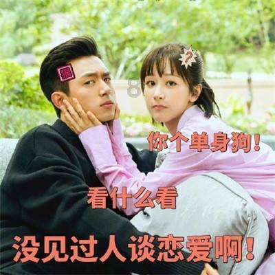贪吃鼠吃豆豆